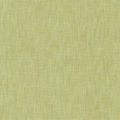 Kasmir BELTRAN          NEW BUD         